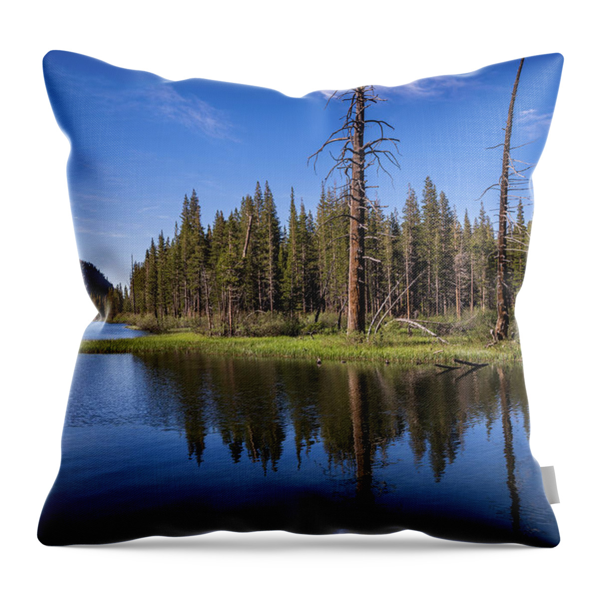 Lake Mamie Throw Pillow featuring the photograph Mirrored Reflections by Abigail Diane Photography