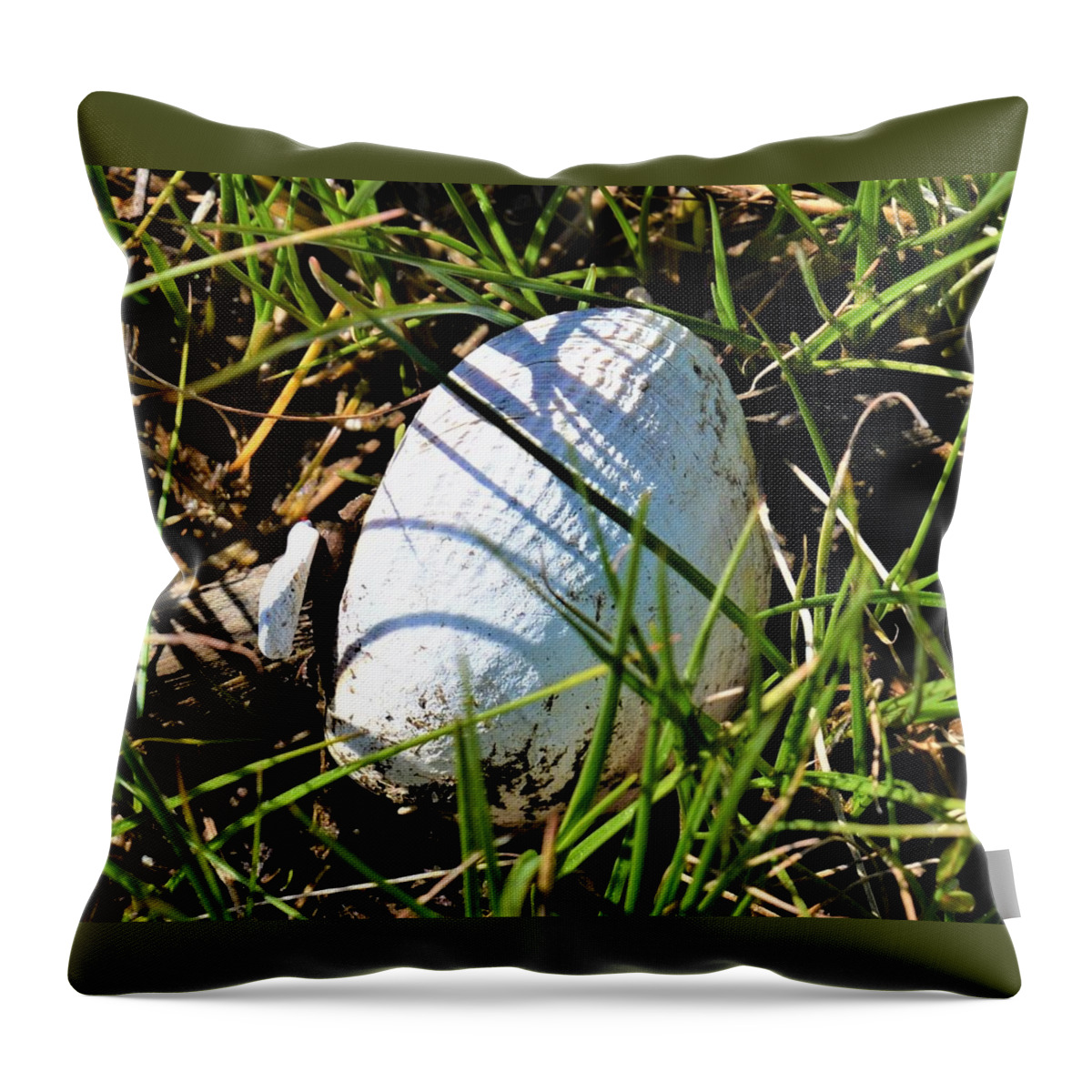 Seashell Throw Pillow featuring the photograph Misplaced Seashell by James Cousineau