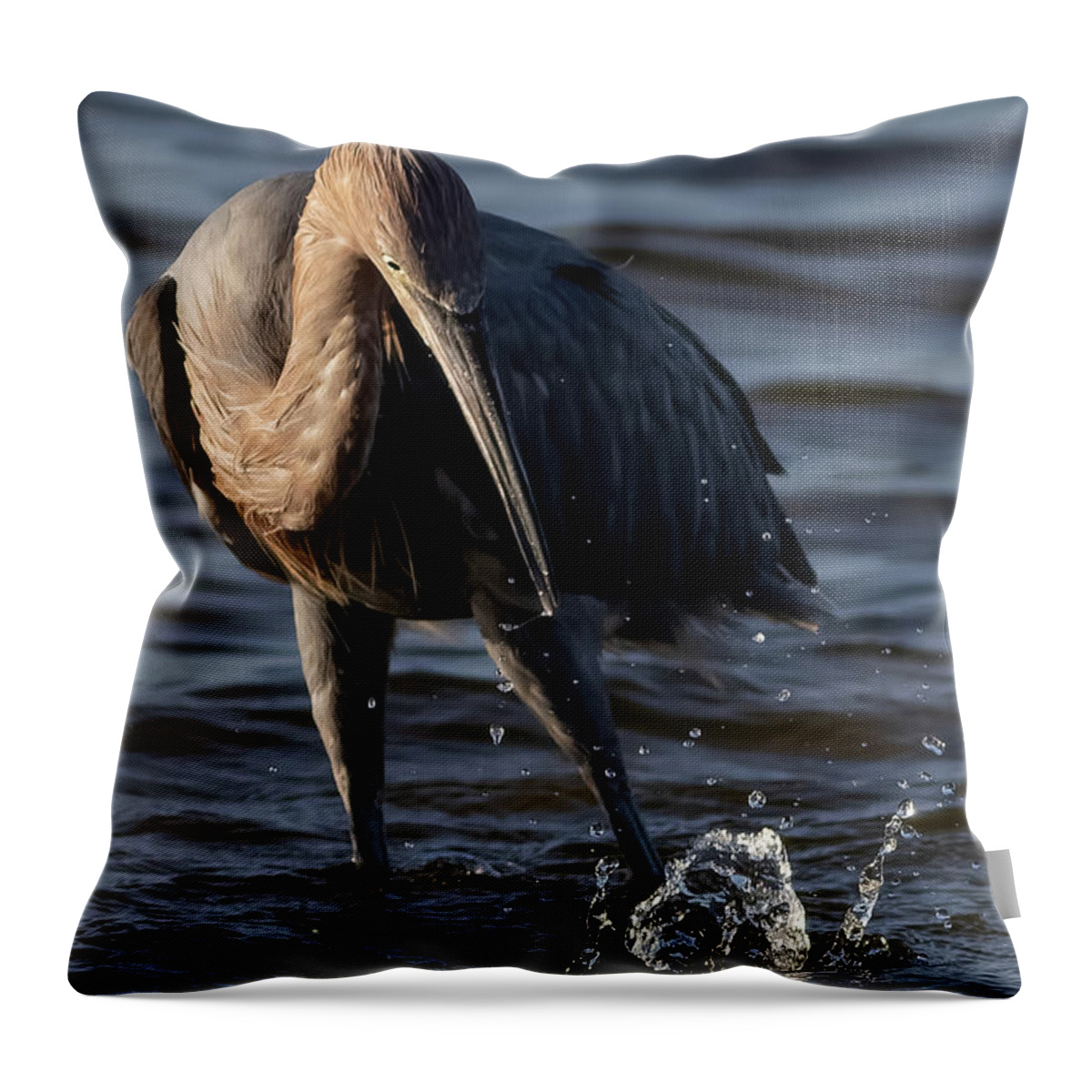 Reddish Egret Throw Pillow featuring the photograph Missed by RD Allen