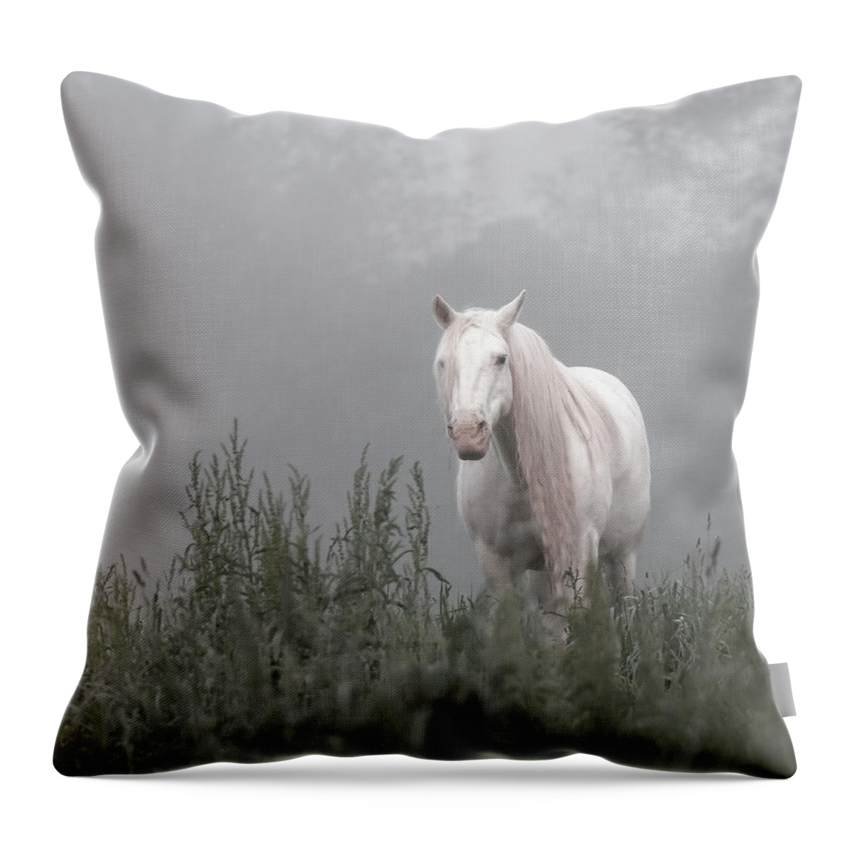 Missouri Throw Pillow featuring the photograph Missing Shawnee by Holly Ross