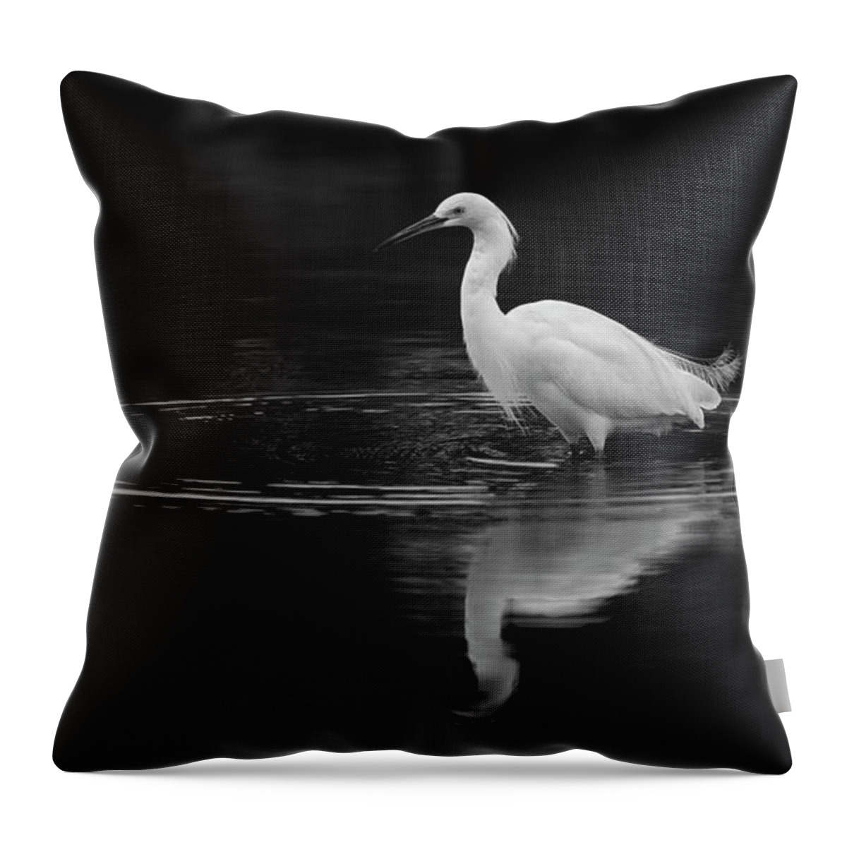 San Diego Throw Pillow featuring the photograph Mission Bay Snowy Egret by William Dunigan
