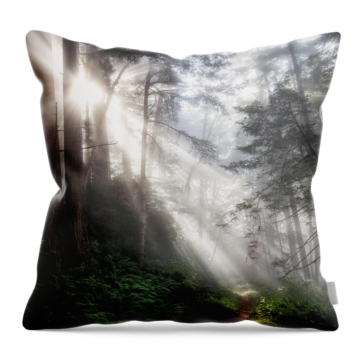 Alder Throw Pillow featuring the photograph Mist On Last Chance Coastal Trail 4 by Al Andersen
