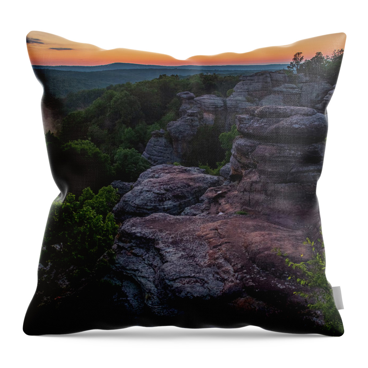 Landscape Throw Pillow featuring the photograph Mists in the Garden by Grant Twiss