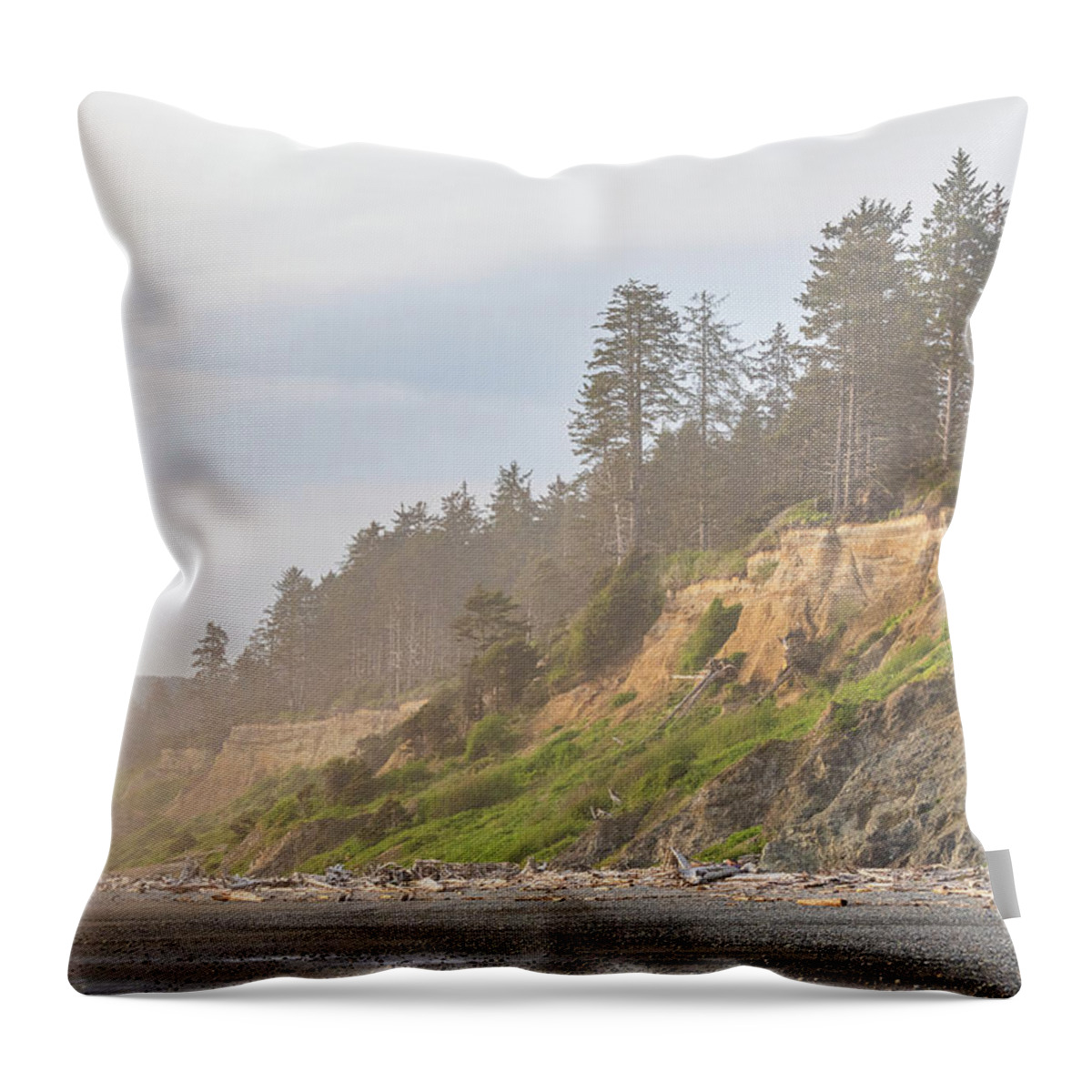 Ocean Throw Pillow featuring the photograph Misty coastline by Robert Miller