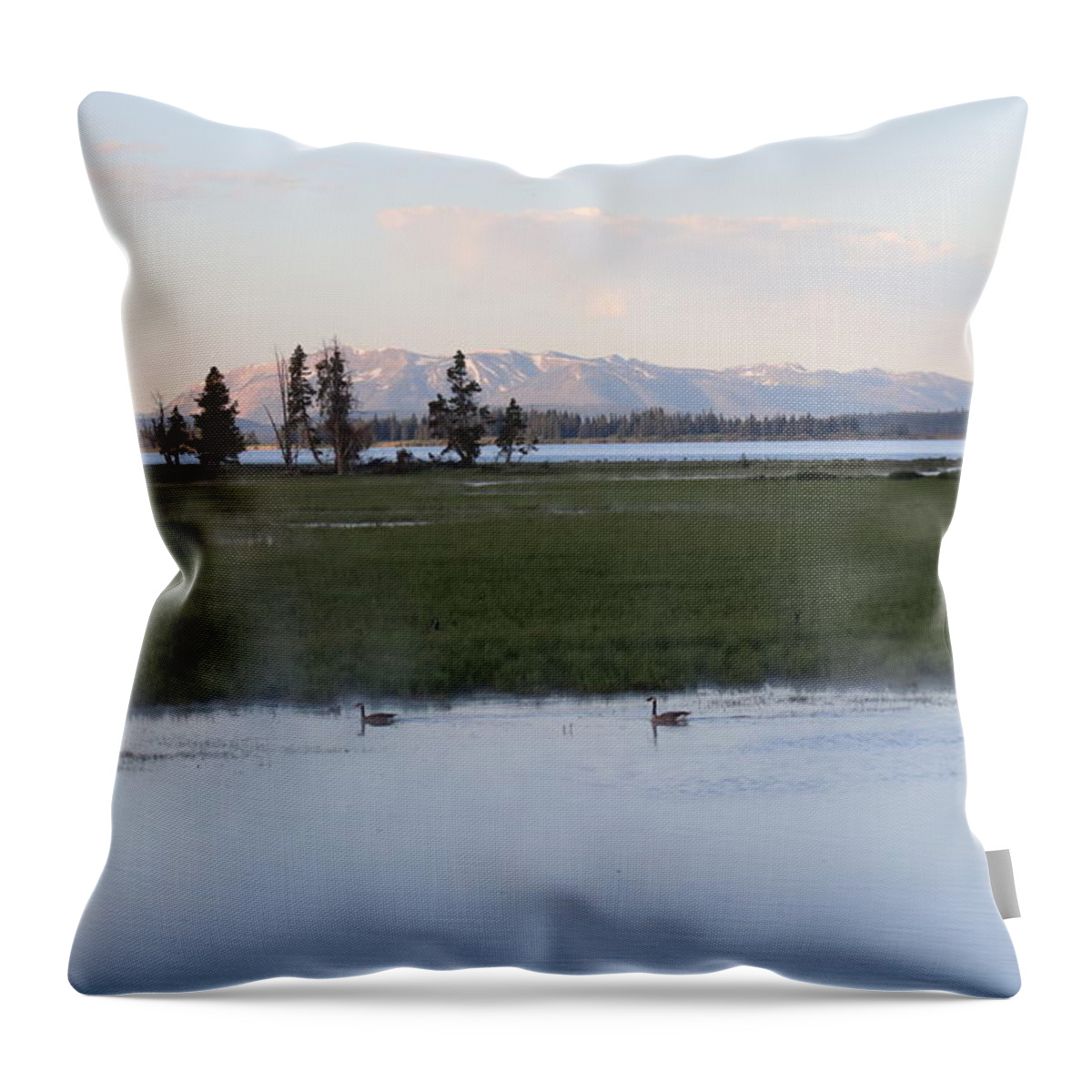 Mist Throw Pillow featuring the photograph Misty Morning 2 by Yvonne M Smith