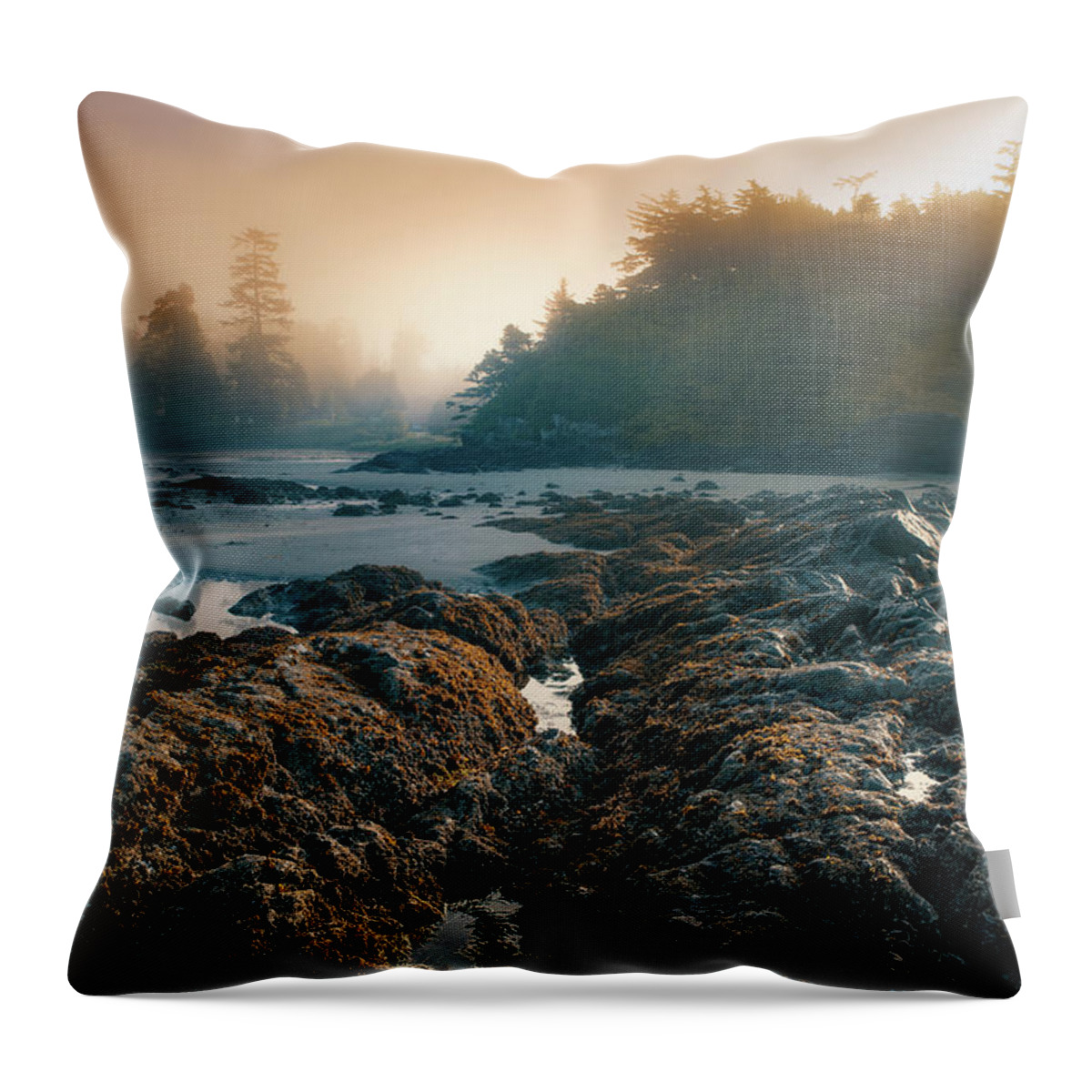 Mist Throw Pillow featuring the photograph Misty Morning at Mackenzie Beach by Naomi Maya