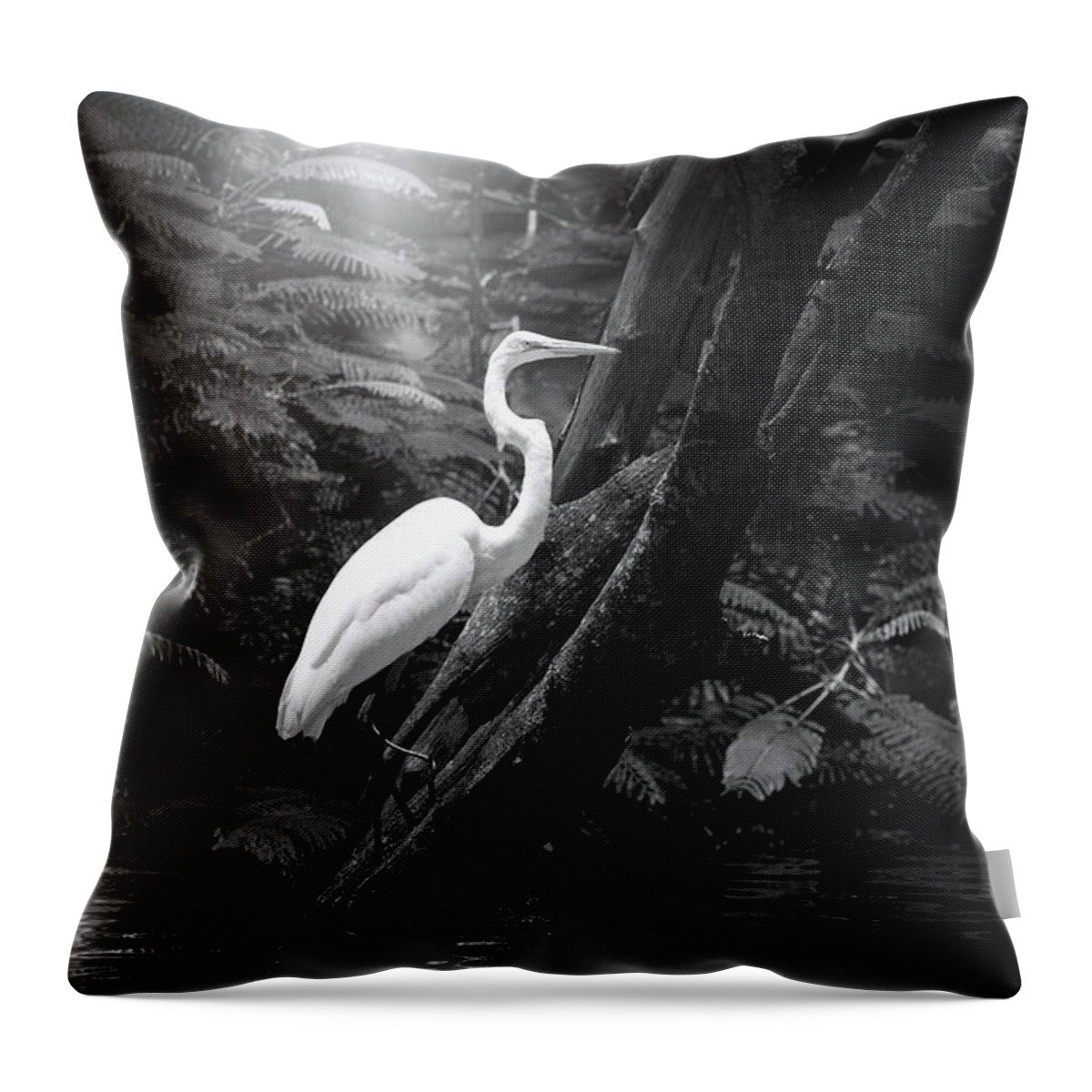Great White Egret Throw Pillow featuring the photograph Misty Morning Egret by Mark Andrew Thomas