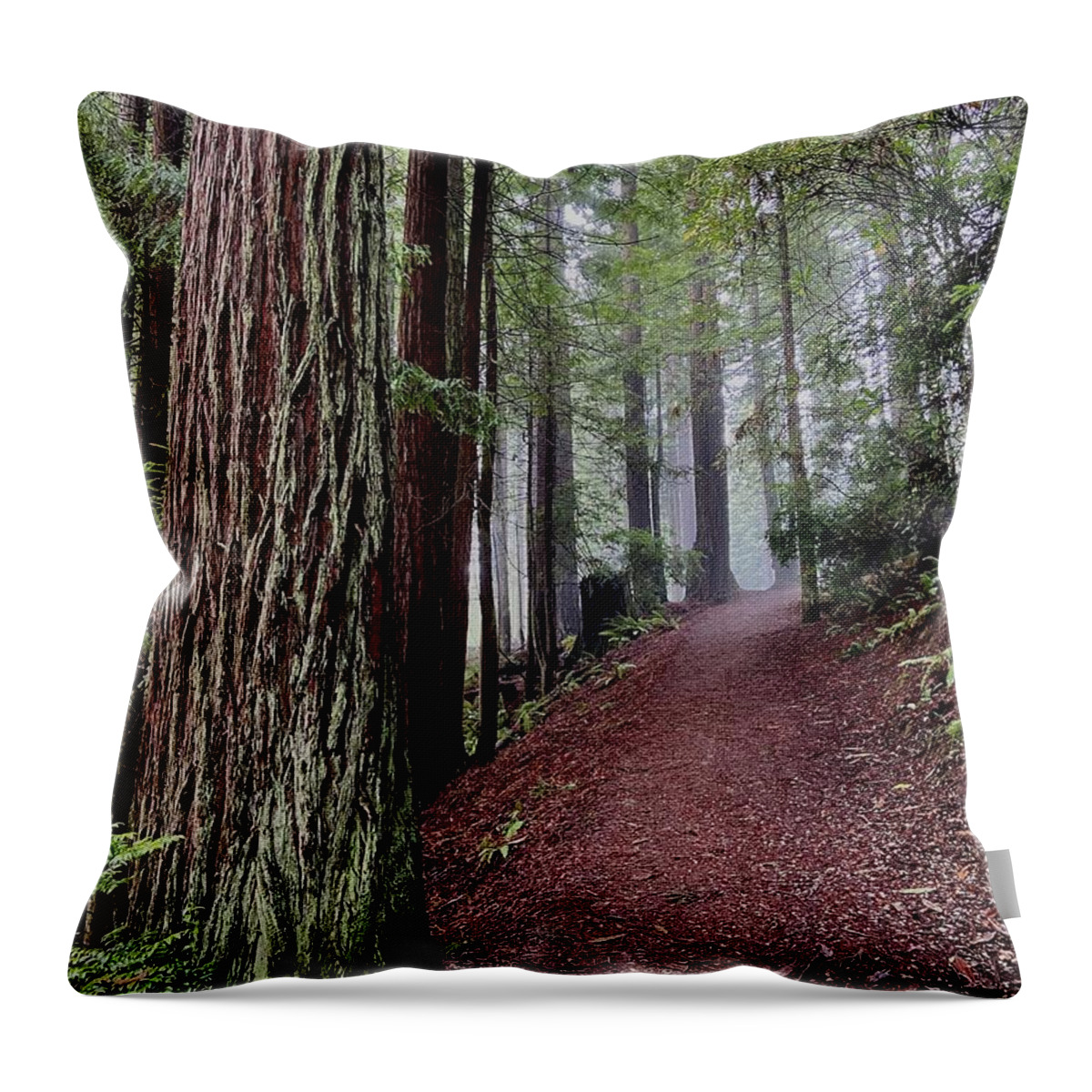Humboldt County Throw Pillow featuring the photograph Misty Mornings by Daniele Smith