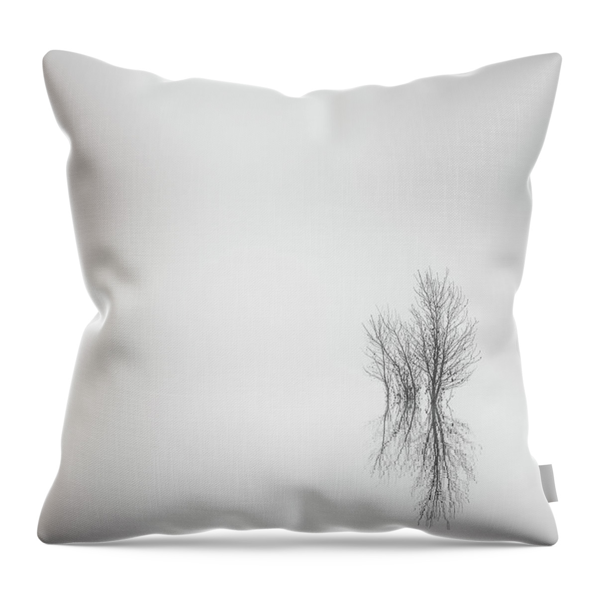 Columbia River Throw Pillow featuring the photograph Misty Simplicity by Don Schwartz