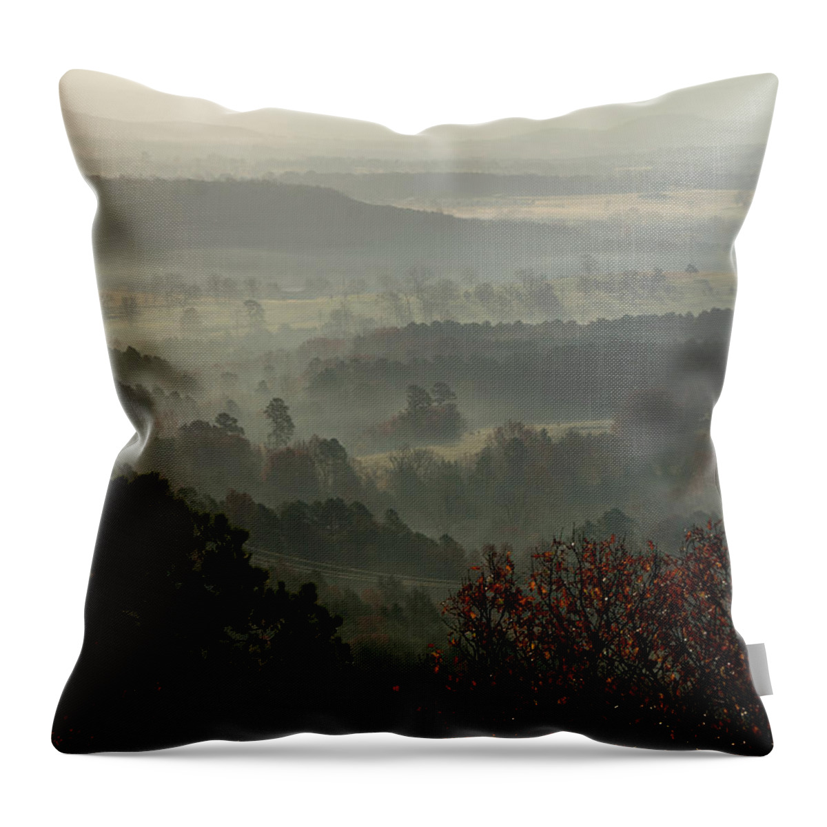 Valley Throw Pillow featuring the photograph Misty Valley View by Brandy Herren
