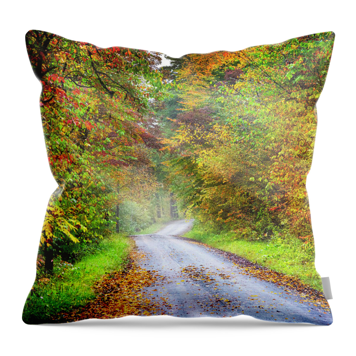 Carolina Throw Pillow featuring the photograph Misty Walk on an Autumn Morning by Debra and Dave Vanderlaan