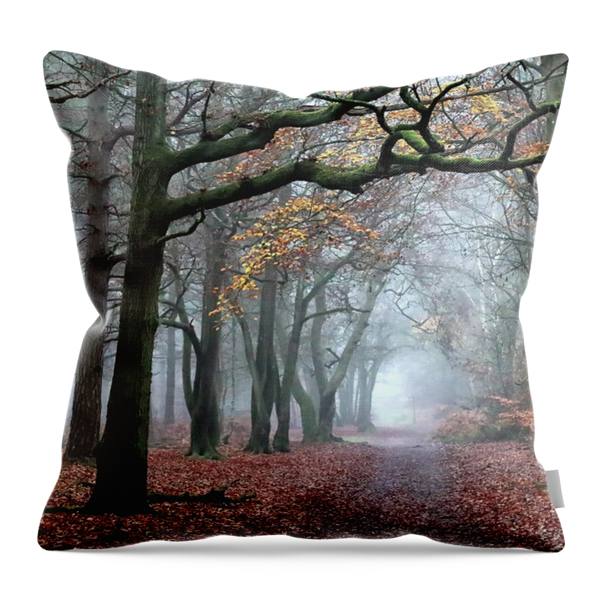 Landscape Throw Pillow featuring the photograph Misty Woods by Shirley Mitchell