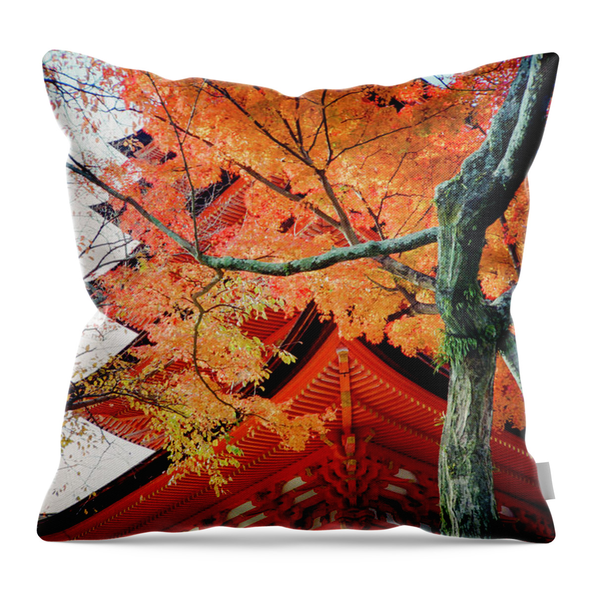 Japan Throw Pillow featuring the photograph Miyajima 07 by Niels Nielsen