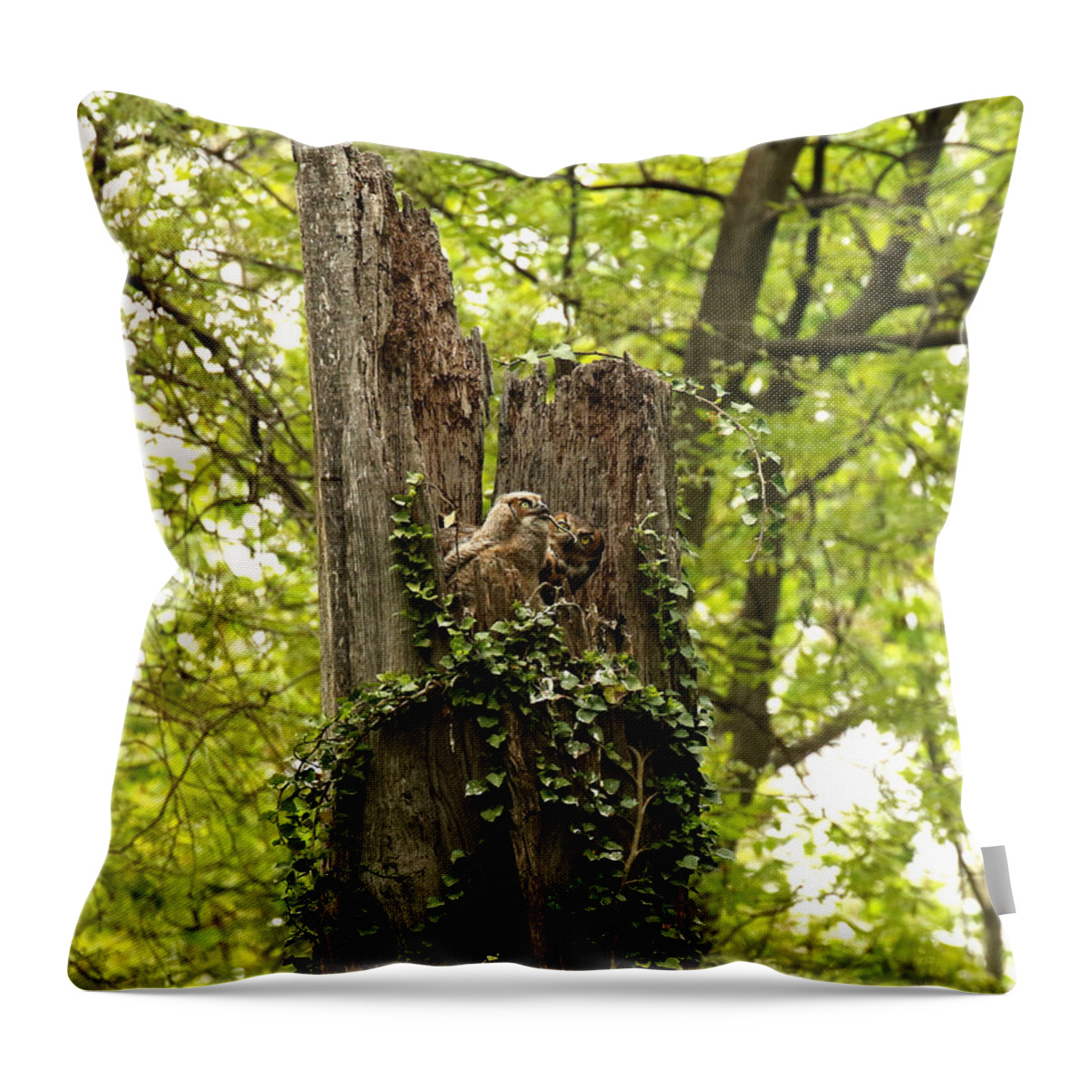 Great Horned Owls Throw Pillow featuring the photograph Mom could not believe her eyes by Heather King