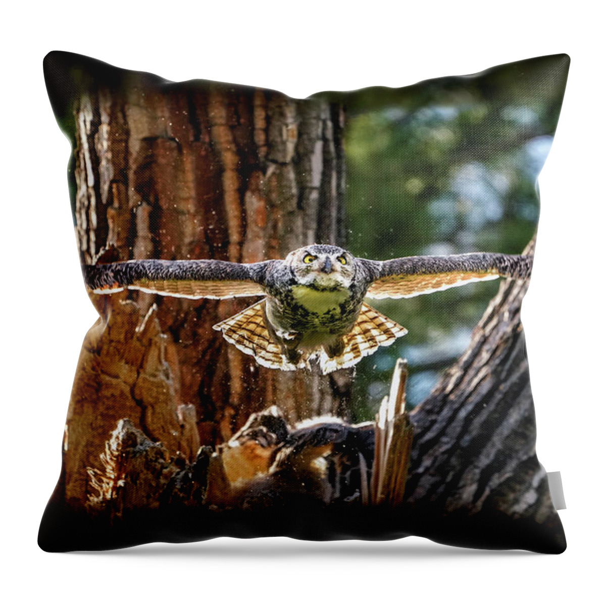 Great Horned Owls Throw Pillow featuring the photograph Momma Great Horned Owl Blasting out of the Nest by Judi Dressler