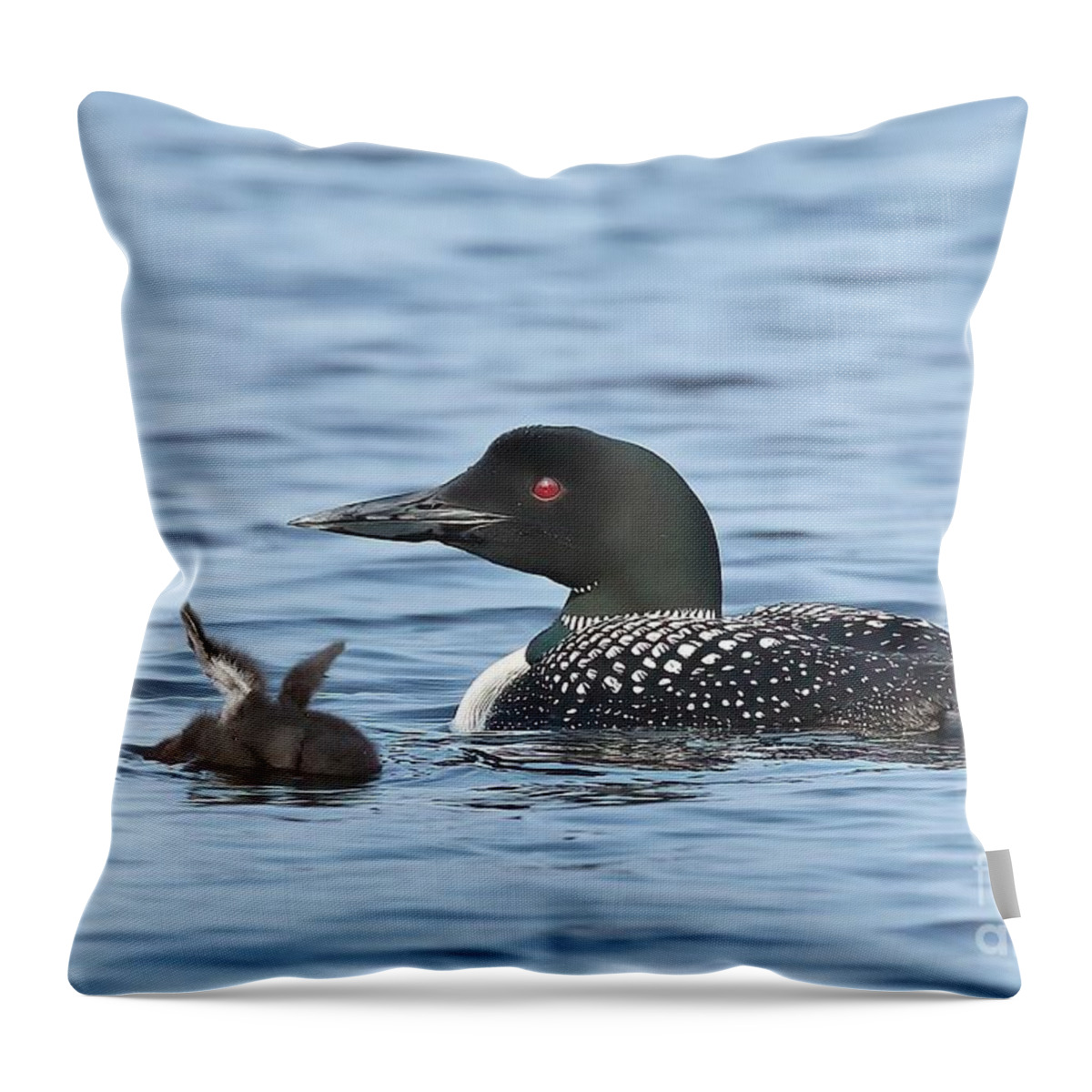Common Loon Throw Pillow featuring the photograph Momma's Little Angel by Teresa McGill