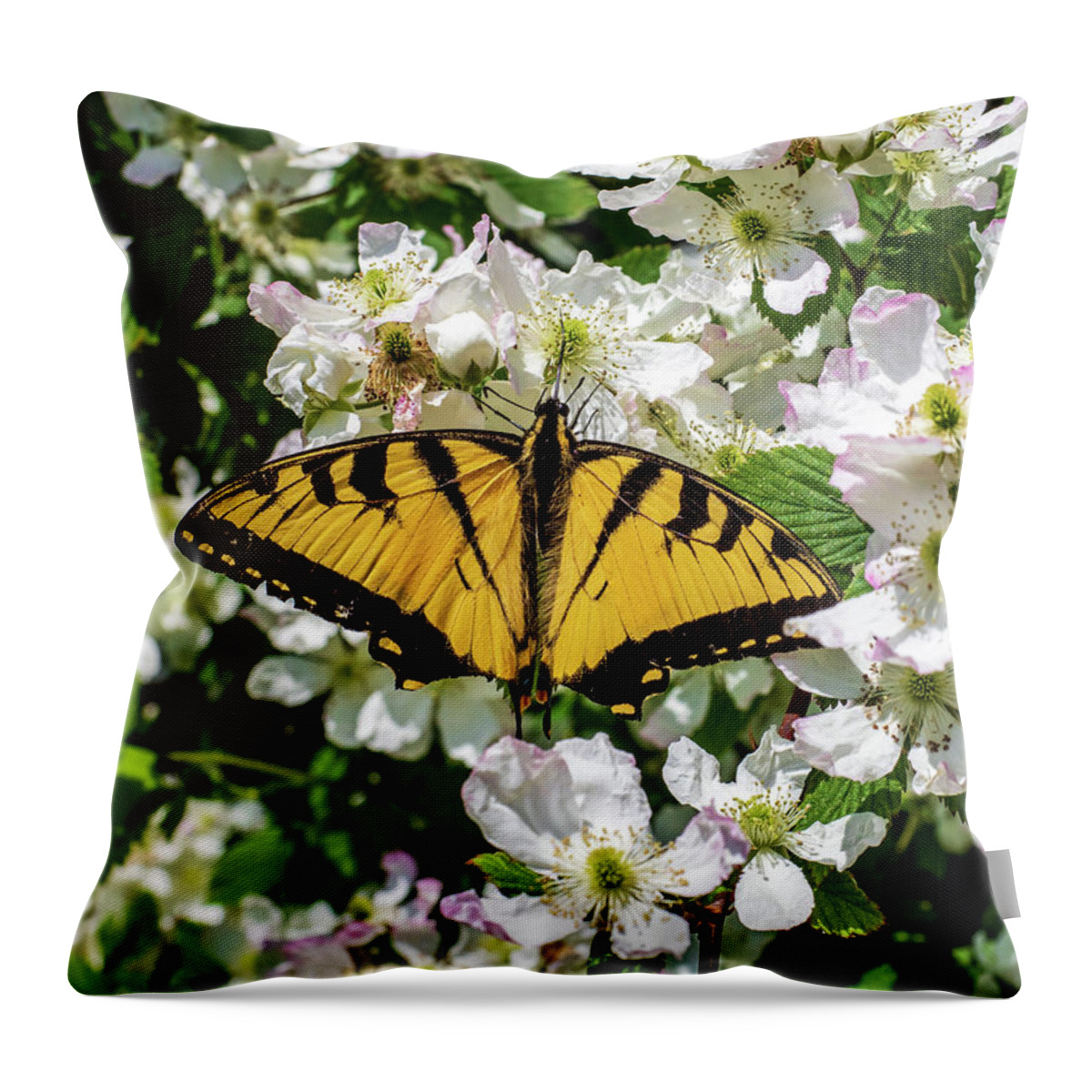Animals Throw Pillow featuring the photograph Monarch Butterfly by Louis Dallara