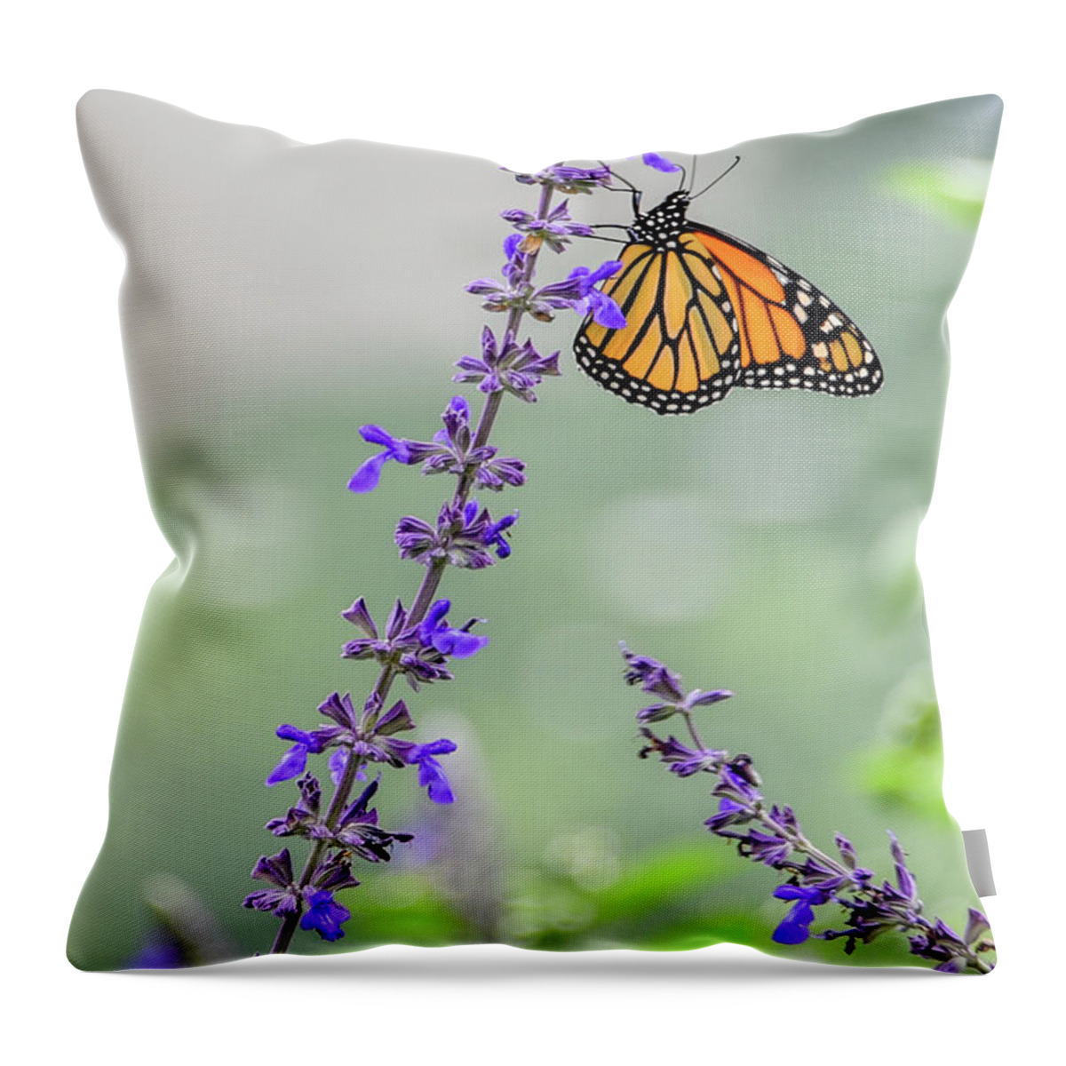 Butterfly Throw Pillow featuring the photograph Monarch Butterfly by Marie Fortin