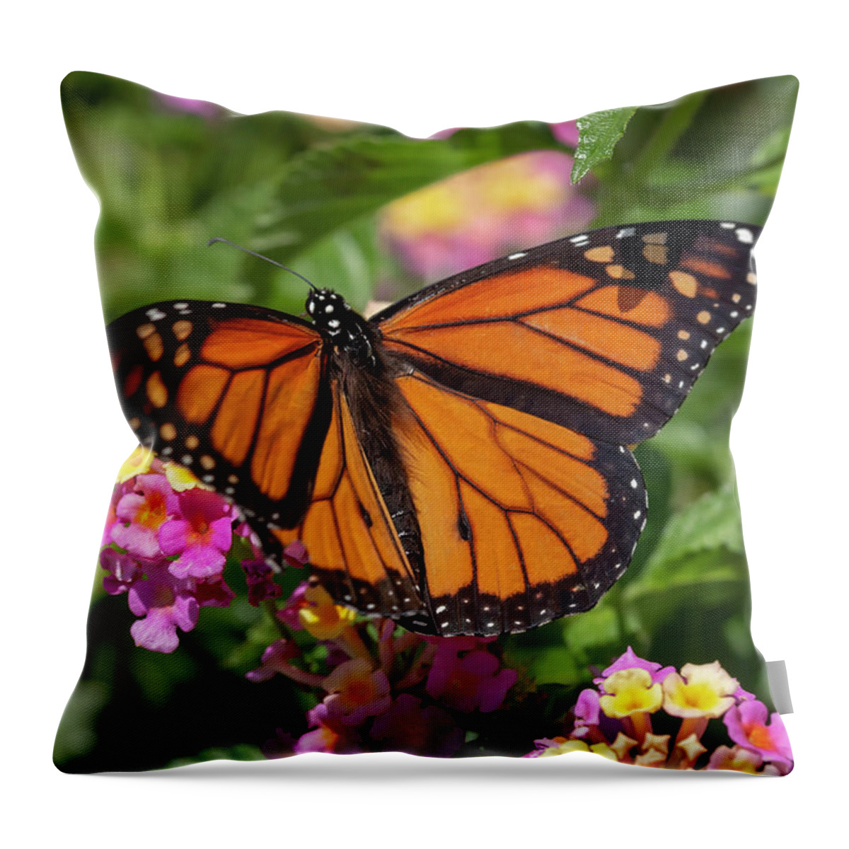Flower Throw Pillow featuring the photograph Monarch on Lantana by Dawn Cavalieri