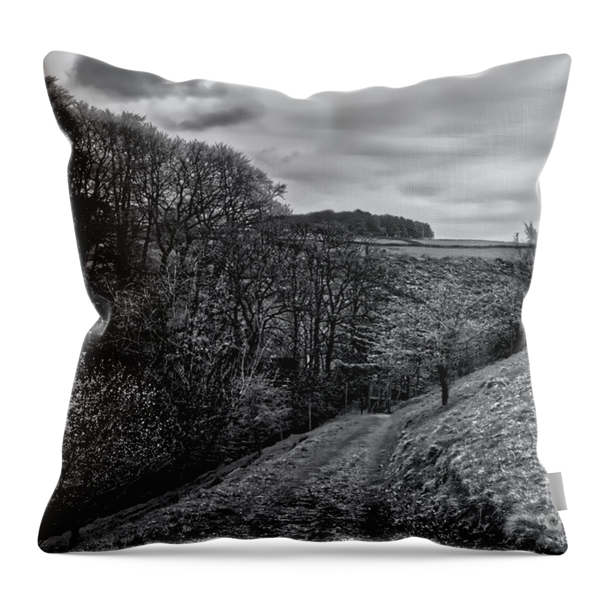 Landscape Photography Throw Pillow featuring the photograph Monochrome landscape path in Manchester UK by Pics By Tony
