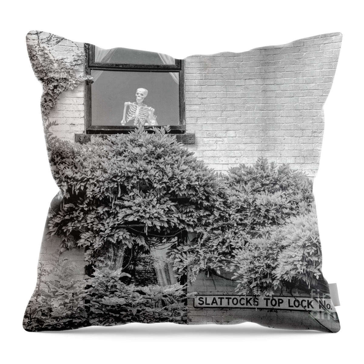 Monochrome Throw Pillow featuring the photograph Monochrome Lockkeepers cottage window Rochdale Canal Lock 54 Slattocks UK by Pics By Tony