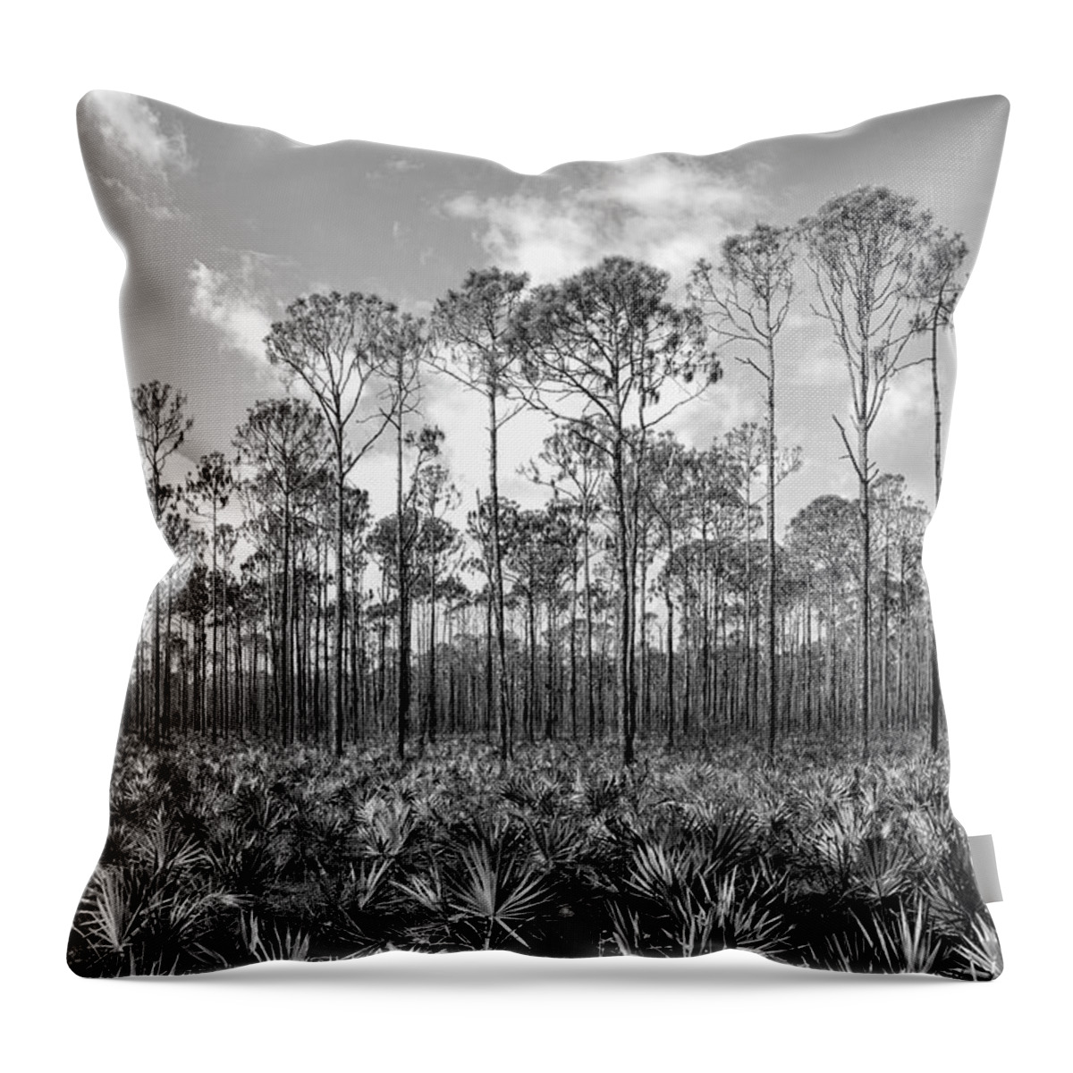 Forest Throw Pillow featuring the photograph Monochrome Myakka State Forest by Robert Wilder Jr