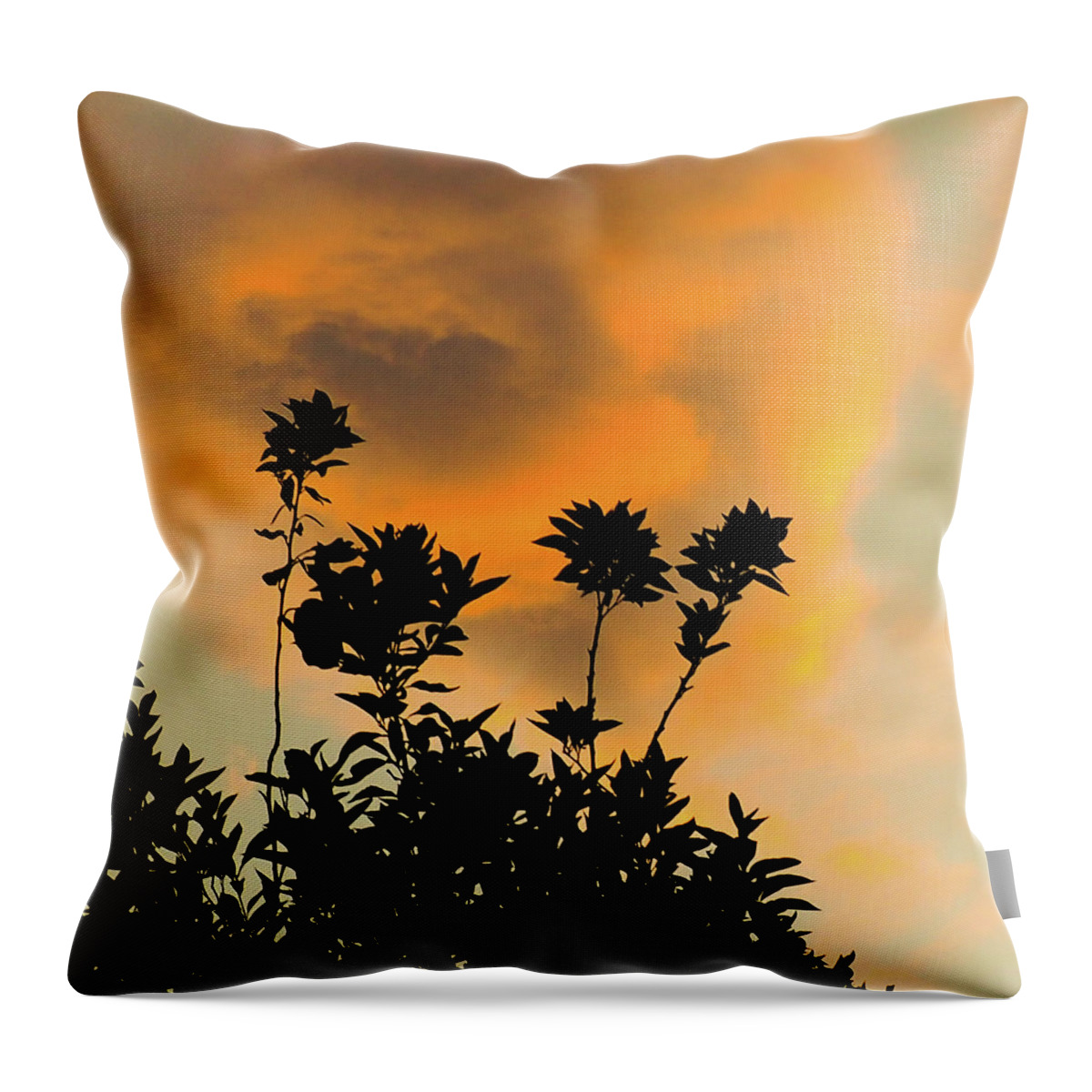 Silhouette Throw Pillow featuring the photograph Monsoon Sunset by Grey Coopre