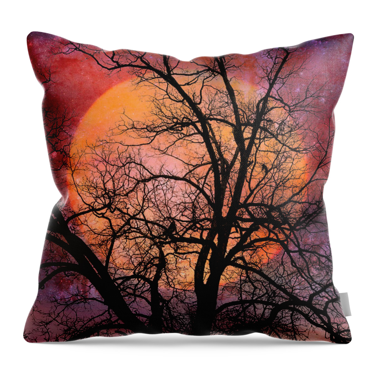 Carolina Throw Pillow featuring the photograph Moon in the Branches by Debra and Dave Vanderlaan
