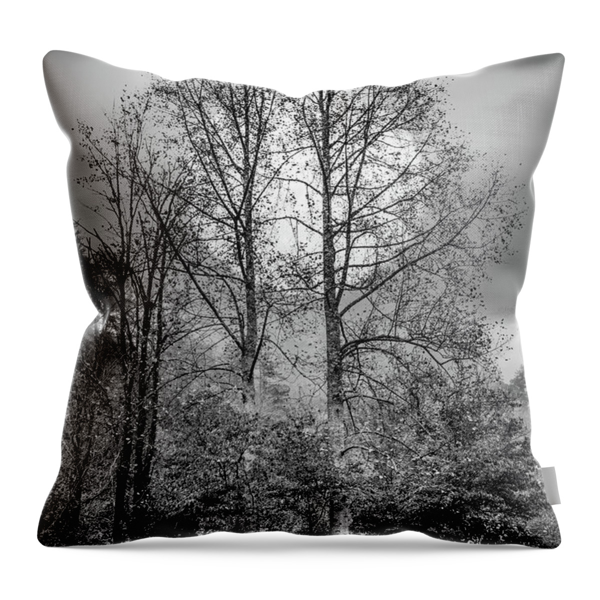 Carolina Throw Pillow featuring the photograph Moon Rising Black and White by Debra and Dave Vanderlaan