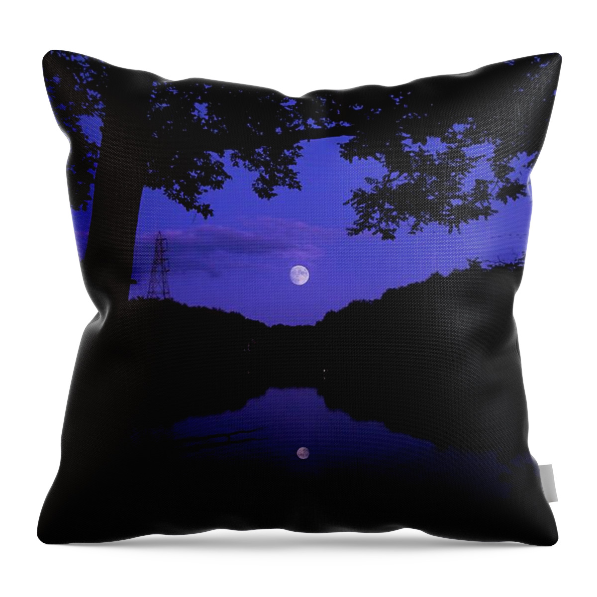 Moon Throw Pillow featuring the photograph Moon Rising by Mary Walchuck