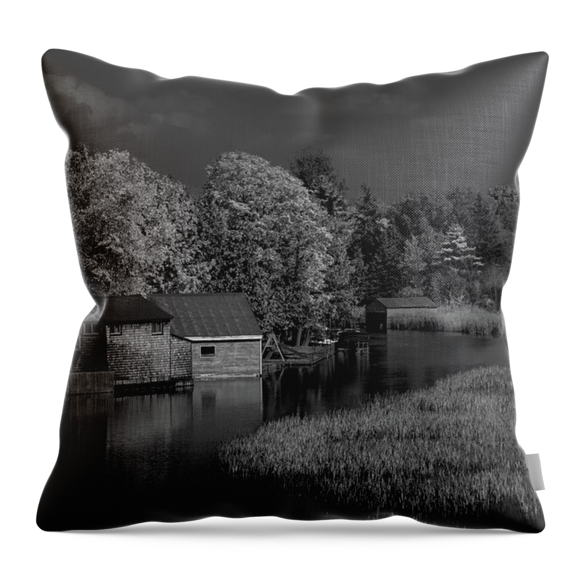 Alanson Throw Pillow featuring the photograph Moonlight on Crooked River by Robert Carter