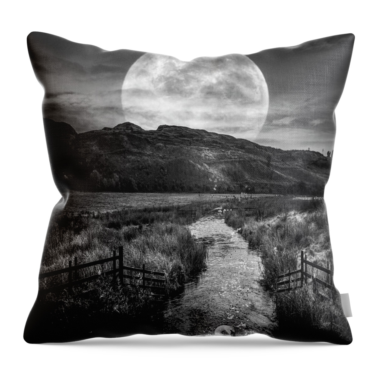 Birds Throw Pillow featuring the photograph Moonlight on the Swans II Black and White by Debra and Dave Vanderlaan