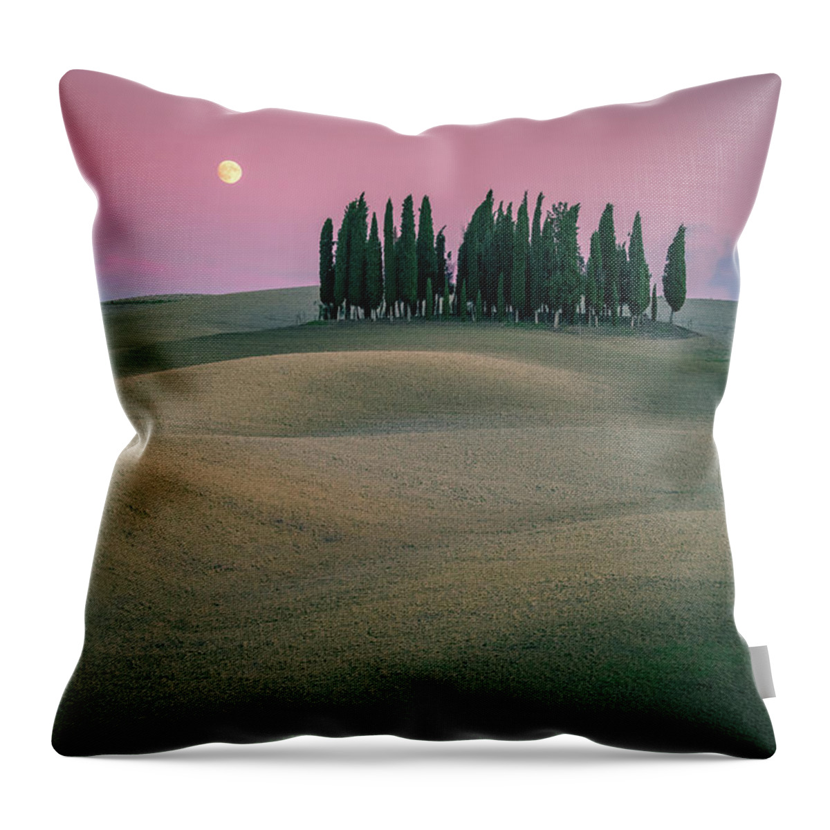 Moon Throw Pillow featuring the photograph Moonrise at farm land by Henry w Liu