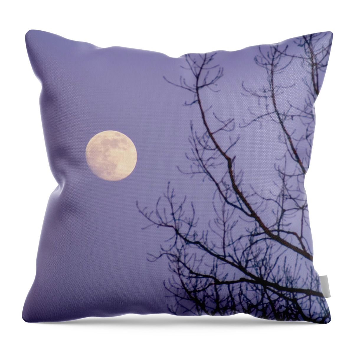 Full Moon Throw Pillow featuring the photograph January Moonshine by Susie Loechler