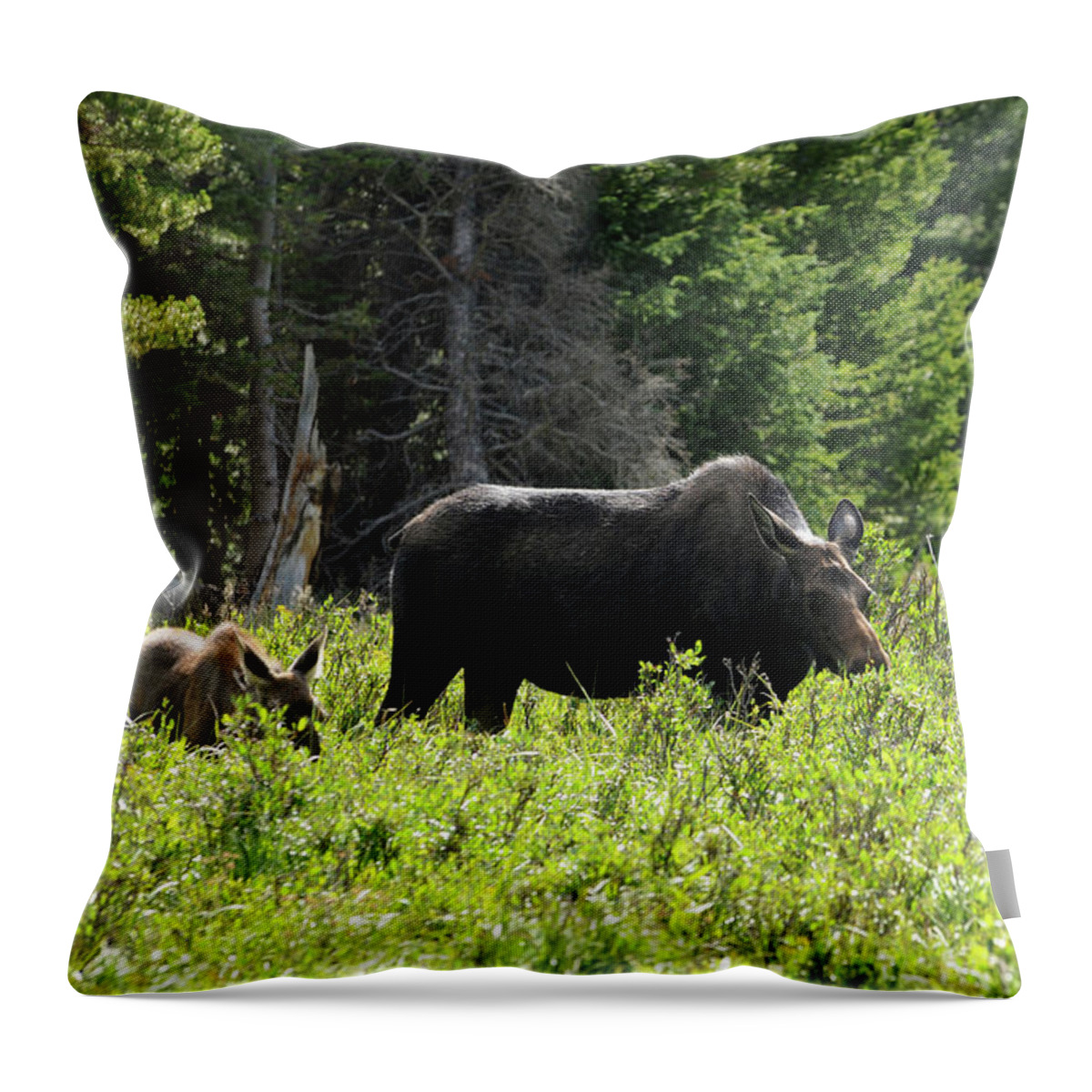 Photography Throw Pillow featuring the photograph Moose - Breakfast with My Baby by Richard Porter