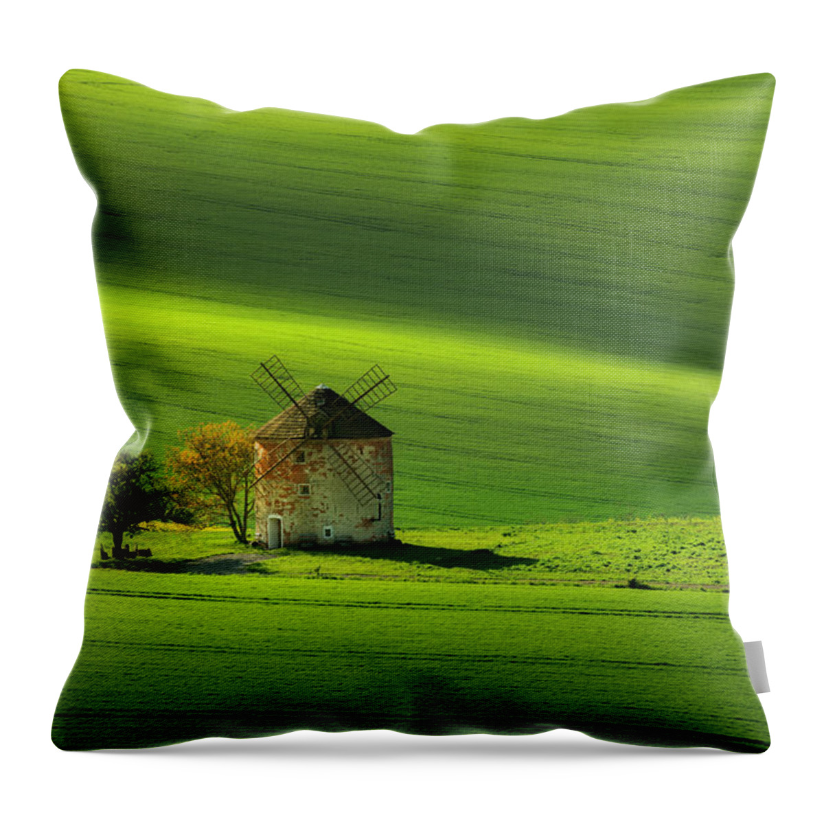 Europe Throw Pillow featuring the photograph Moravian Holland III by Piotr Skrzypiec