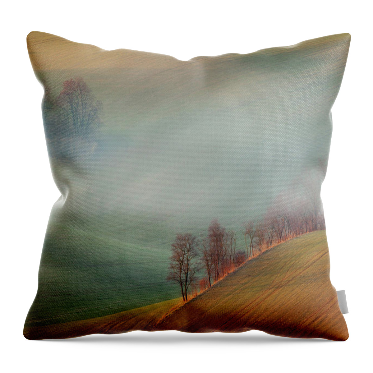 Europe Throw Pillow featuring the photograph Moravian landscape by Piotr Skrzypiec