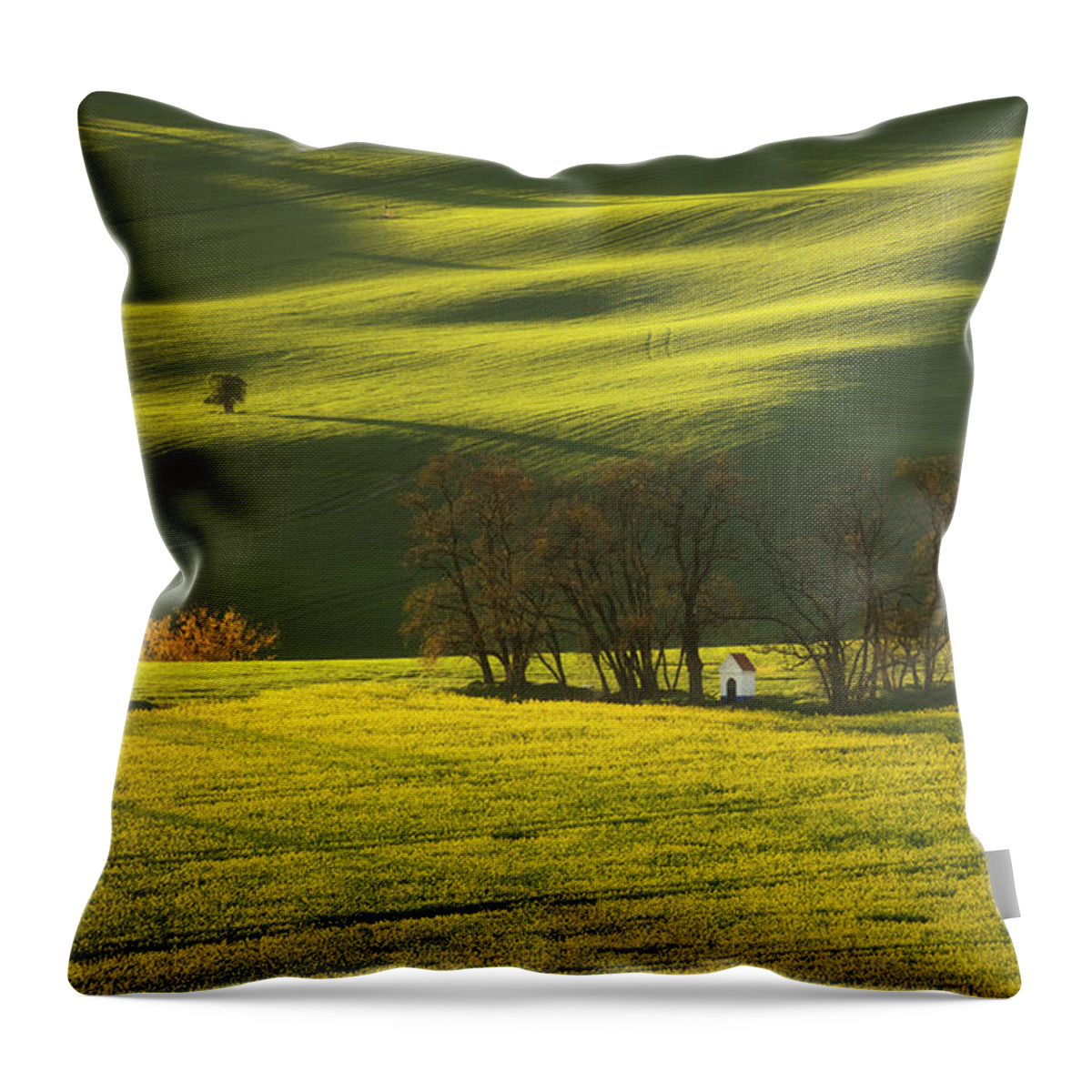 Europe Throw Pillow featuring the photograph Moravian rolling fields II by Piotr Skrzypiec