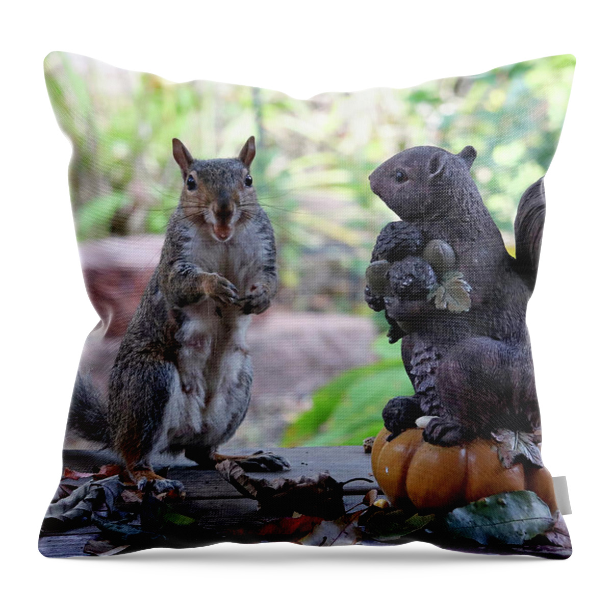 Squirrels Throw Pillow featuring the photograph More Nuts Please by Trina Ansel