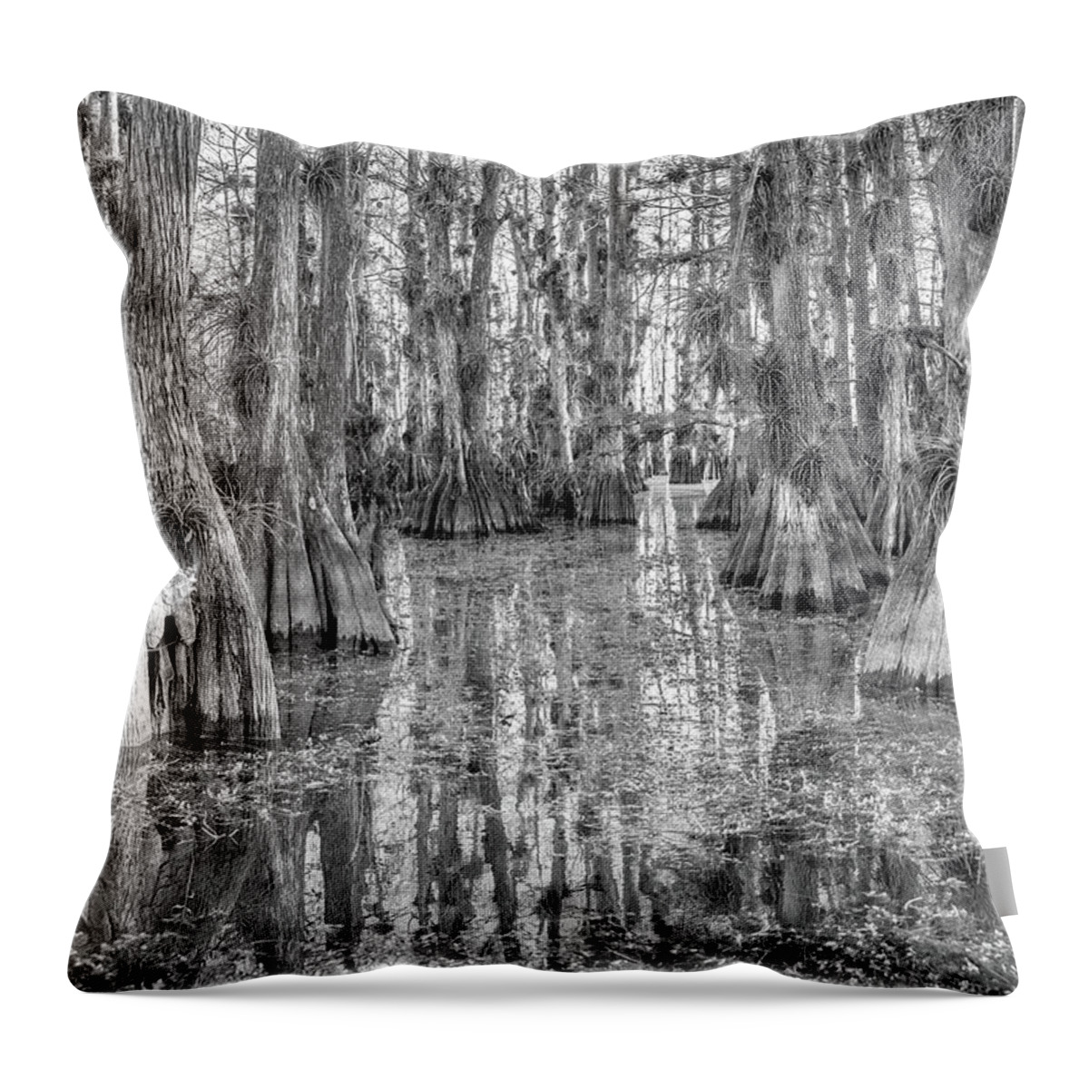 Big Cypress National Preserve Throw Pillow featuring the photograph Morning @ Gator Hook by Rudy Wilms