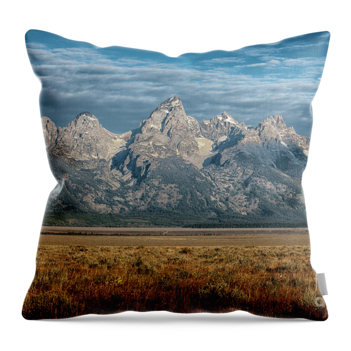 Landscape Throw Pillow featuring the photograph Morning Beauty by Sandra Bronstein