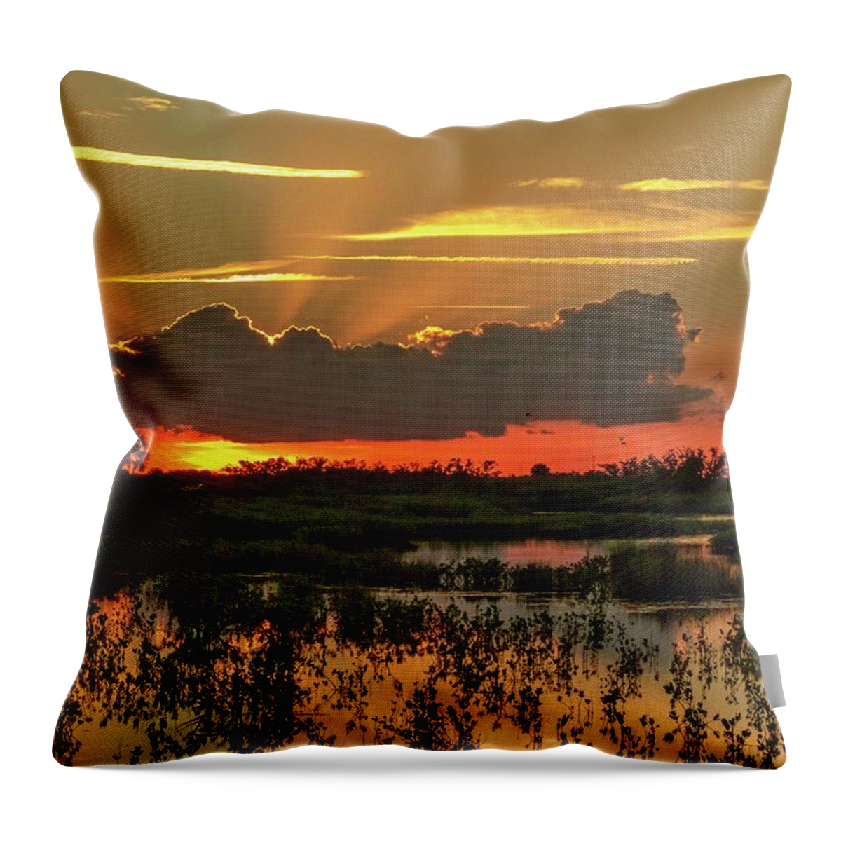Sunrise Throw Pillow featuring the photograph Morning Breaking by Dorothy Cunningham