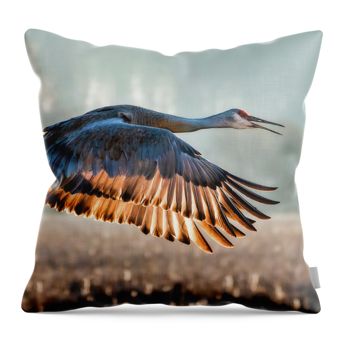 Crane Throw Pillow featuring the photograph Morning Flight by Brad Bellisle