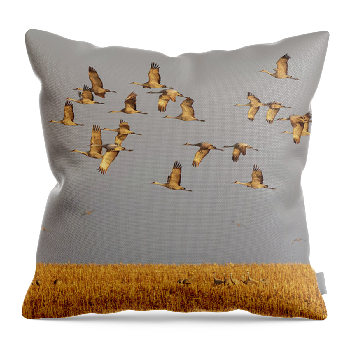 Sandhill Cranes Throw Pillow featuring the photograph Morning Flight by Susan Rissi Tregoning