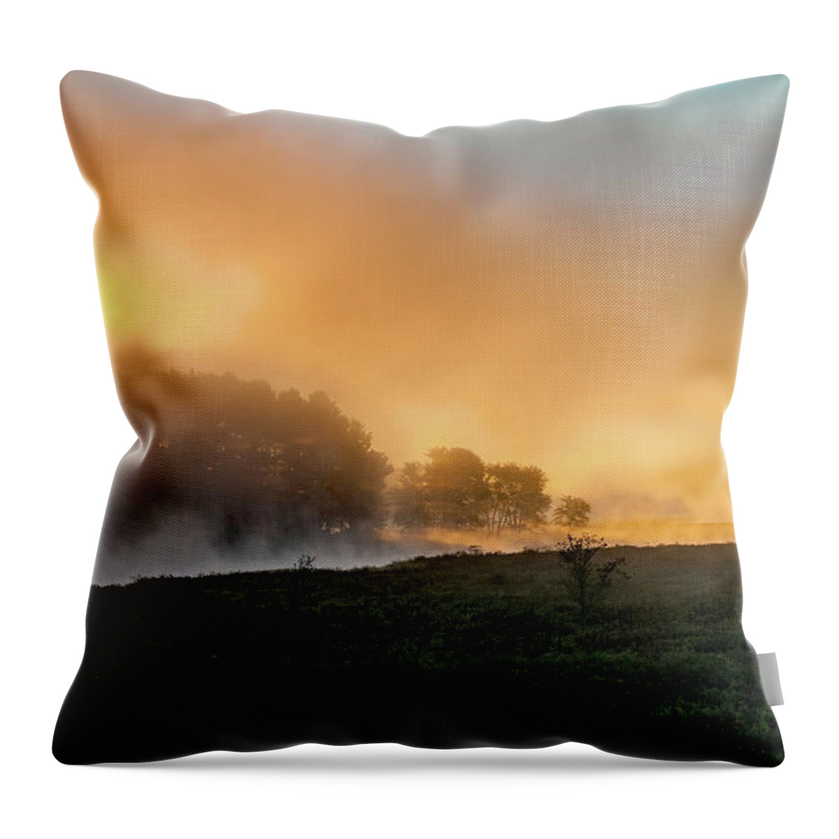 Quaboag River Throw Pillow featuring the photograph Morning Fog by David Pratt