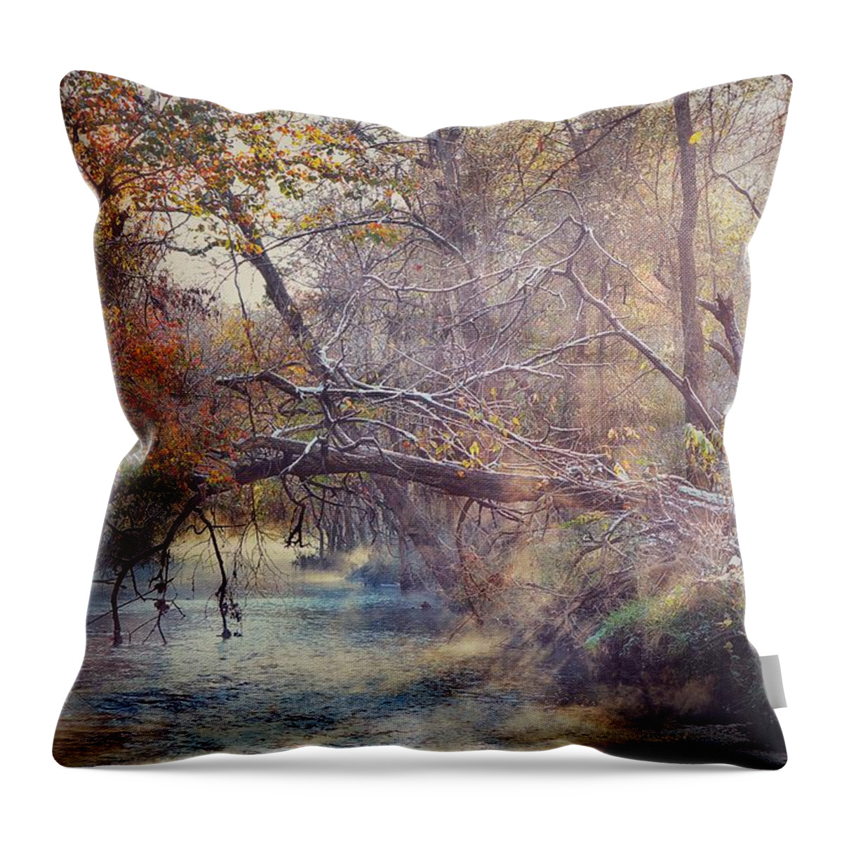 Early Morning Frost Throw Pillow featuring the photograph Morning Frost at The Creek by Lisa Spencer
