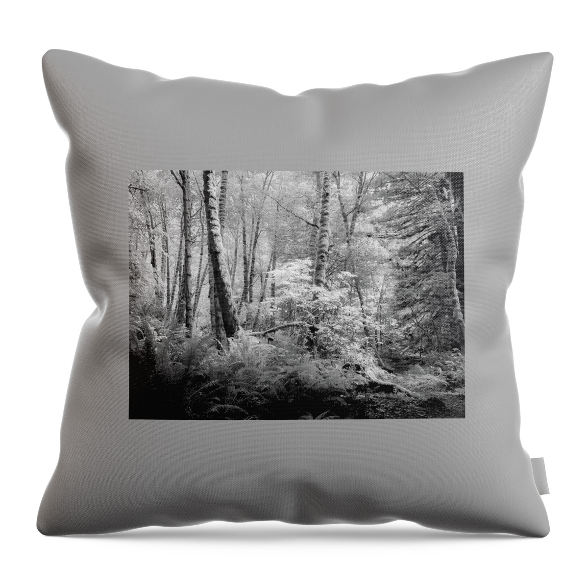 Black And White Throw Pillow featuring the photograph Morning in the Forest by Lynn Wohlers