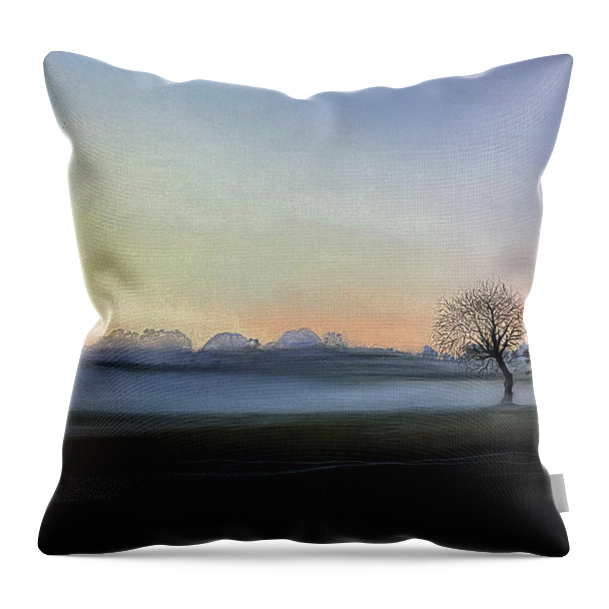 Art Throw Pillow featuring the painting Morning Mist Encounter by Carolyn Coffey Wallace
