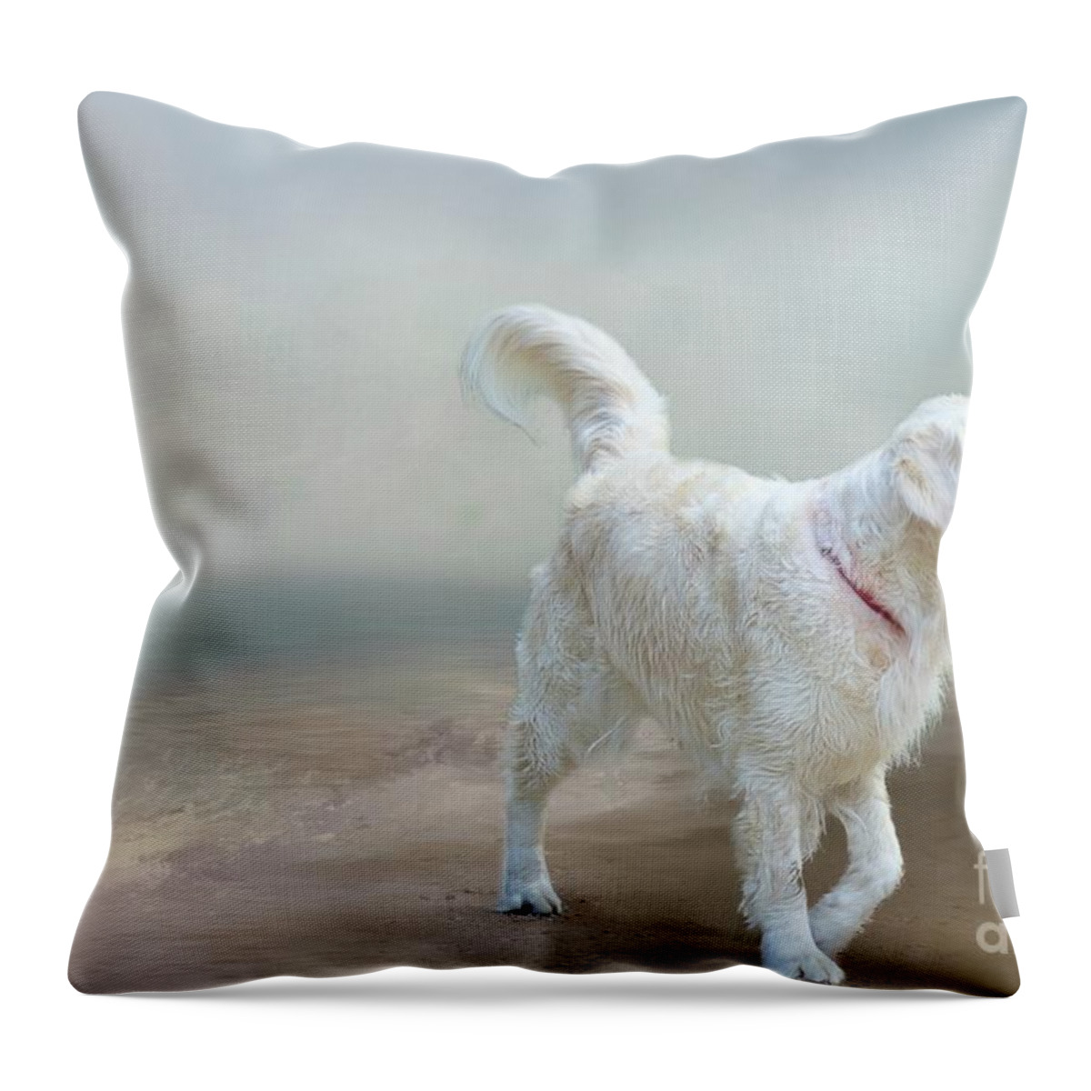 Labrador Retriever Throw Pillow featuring the photograph Morning on the Shore by Eva Lechner
