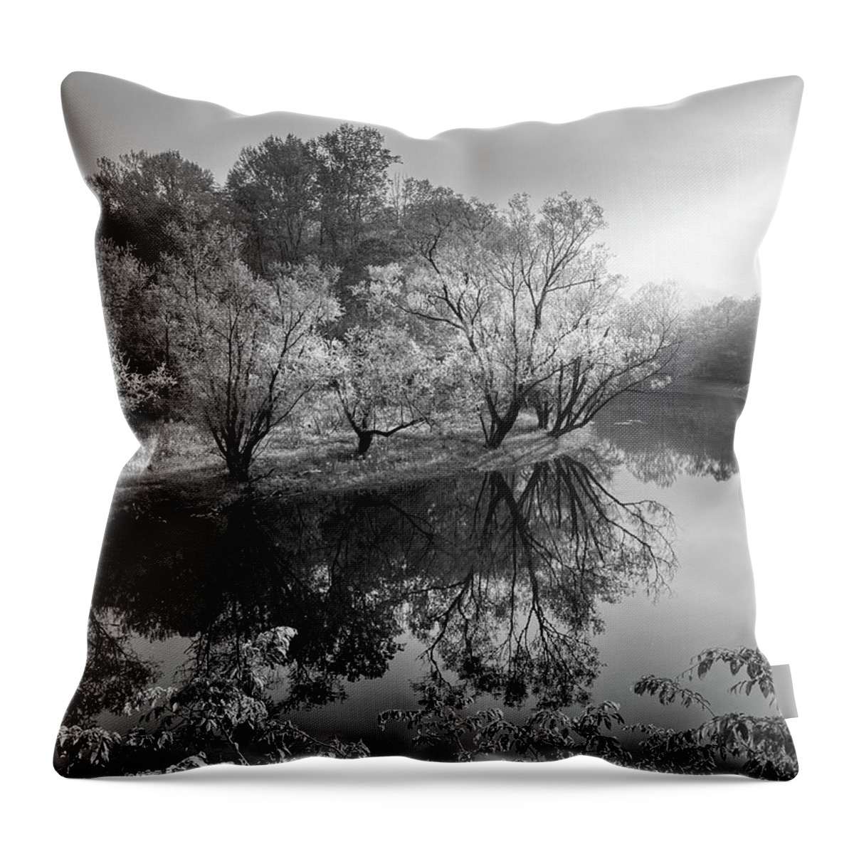 Black Throw Pillow featuring the photograph Morning Reflections on the River Black and White by Debra and Dave Vanderlaan